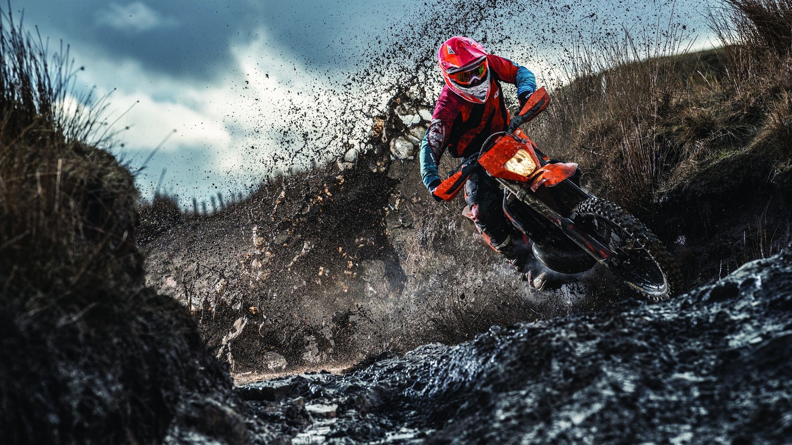 开云官网-当蓝军遭遇加勒比飓风，赖斯冠军级表现定义唯一性之战